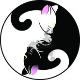 Estampa Ying Yang Cat - OBM